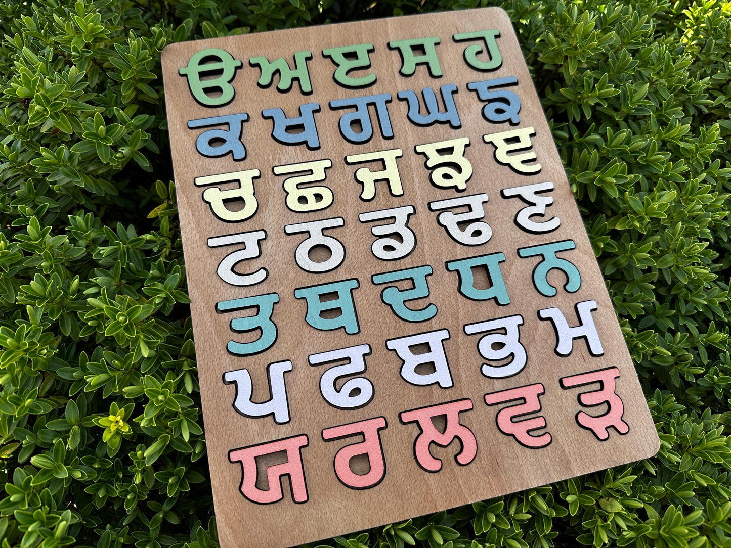 Knotty Alphabet Punjabi Board