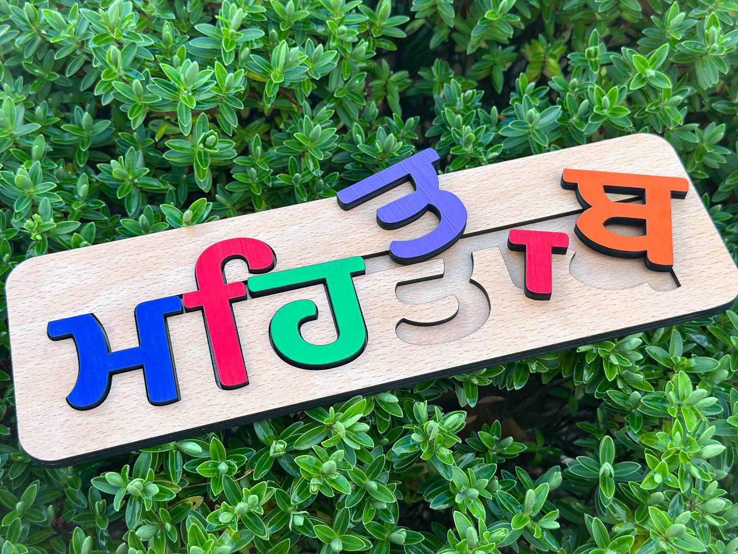 Knotty Punjabi Name Puzzle