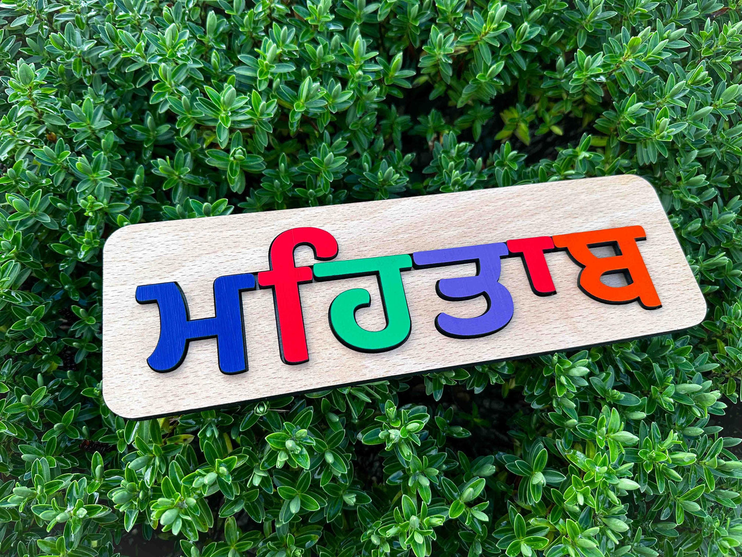 Knotty Punjabi Name Puzzle
