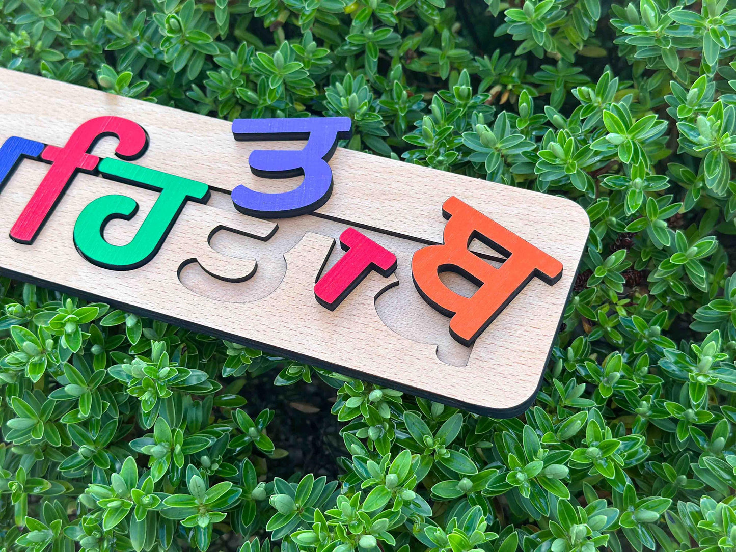 Knotty Punjabi Name Puzzle
